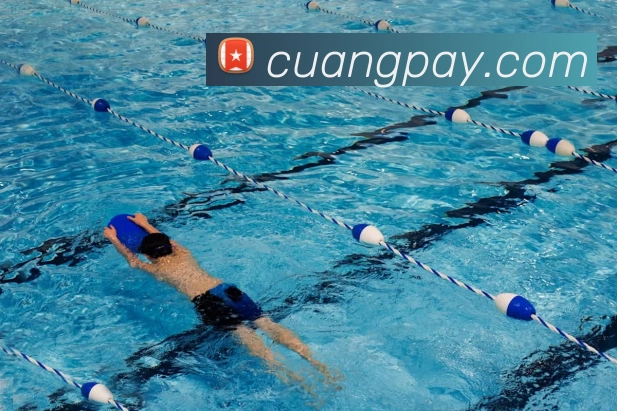 多媒体互动体验