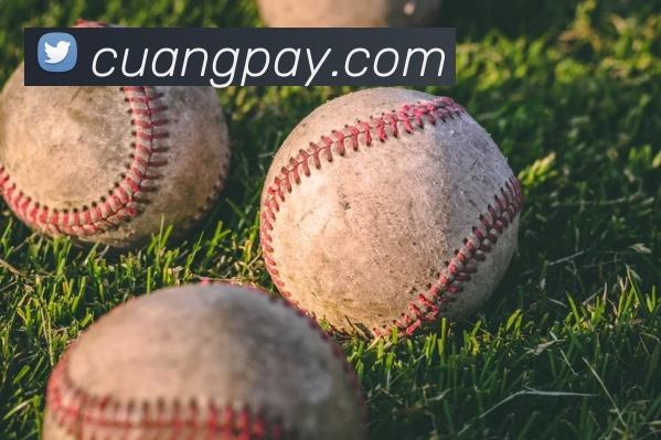 开云app官方版web站入口 - 开云online(中国)APP 高清赛事图